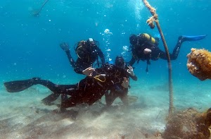 Foto de ubicación de Centro de Buceo Lijo-sub